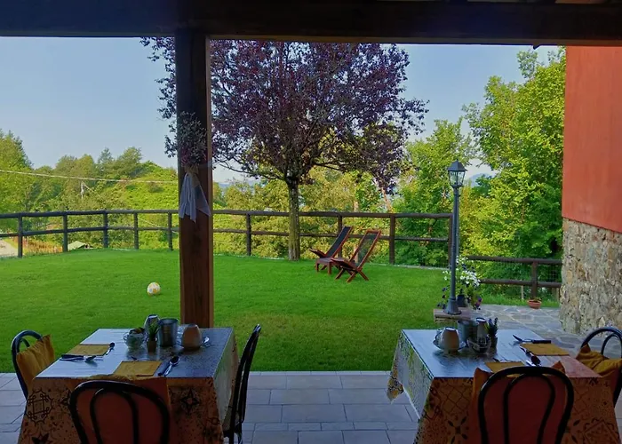 Terra Del Bosco * Sesta Godano