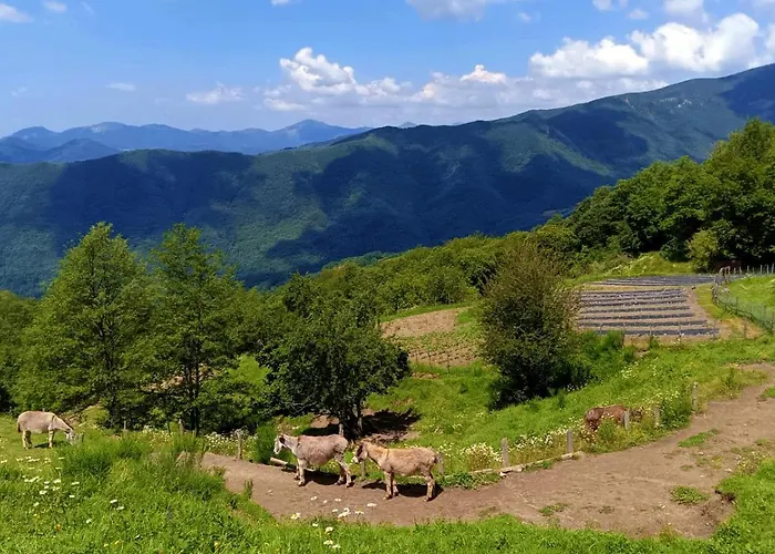 Terra Del Bosco Gospodarstwo agroturystyczne