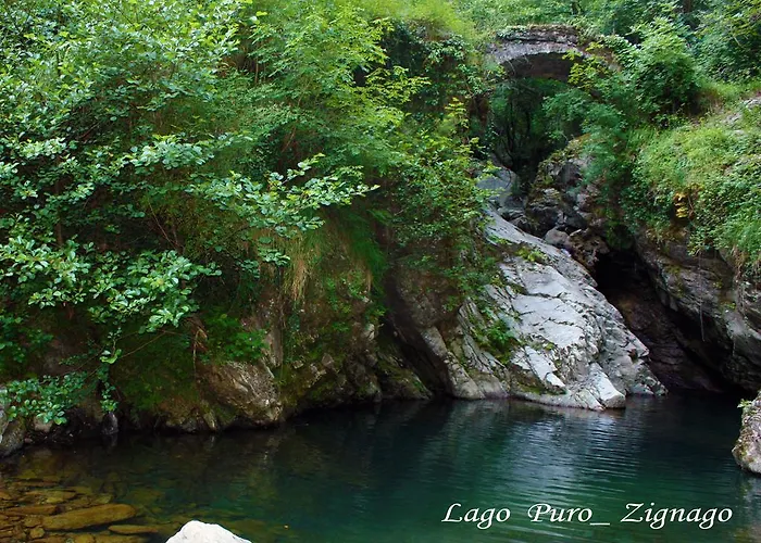 Terra Del Bosco Sesta Godano