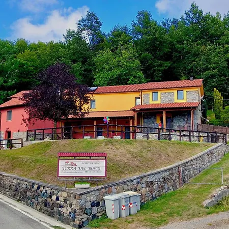 Terra Del Bosco * Sesta Godano