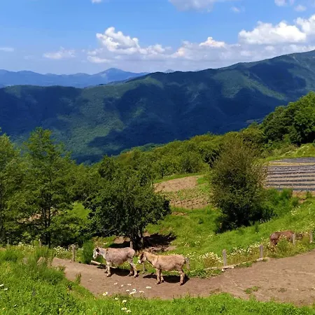 Terra Del Bosco Farma