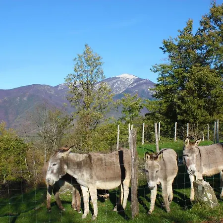 Terra Del Bosco Фермерский дом