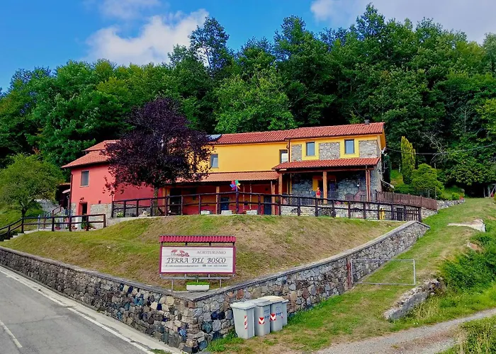 Terra Del Bosco * Sesta Godano