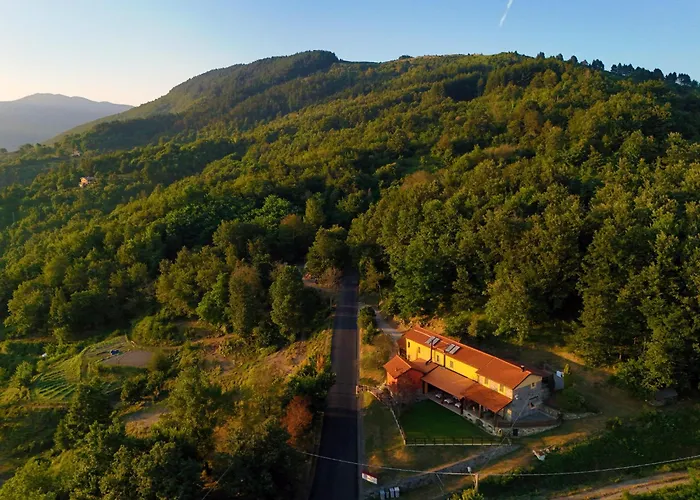 Feriegård Terra Del Bosco